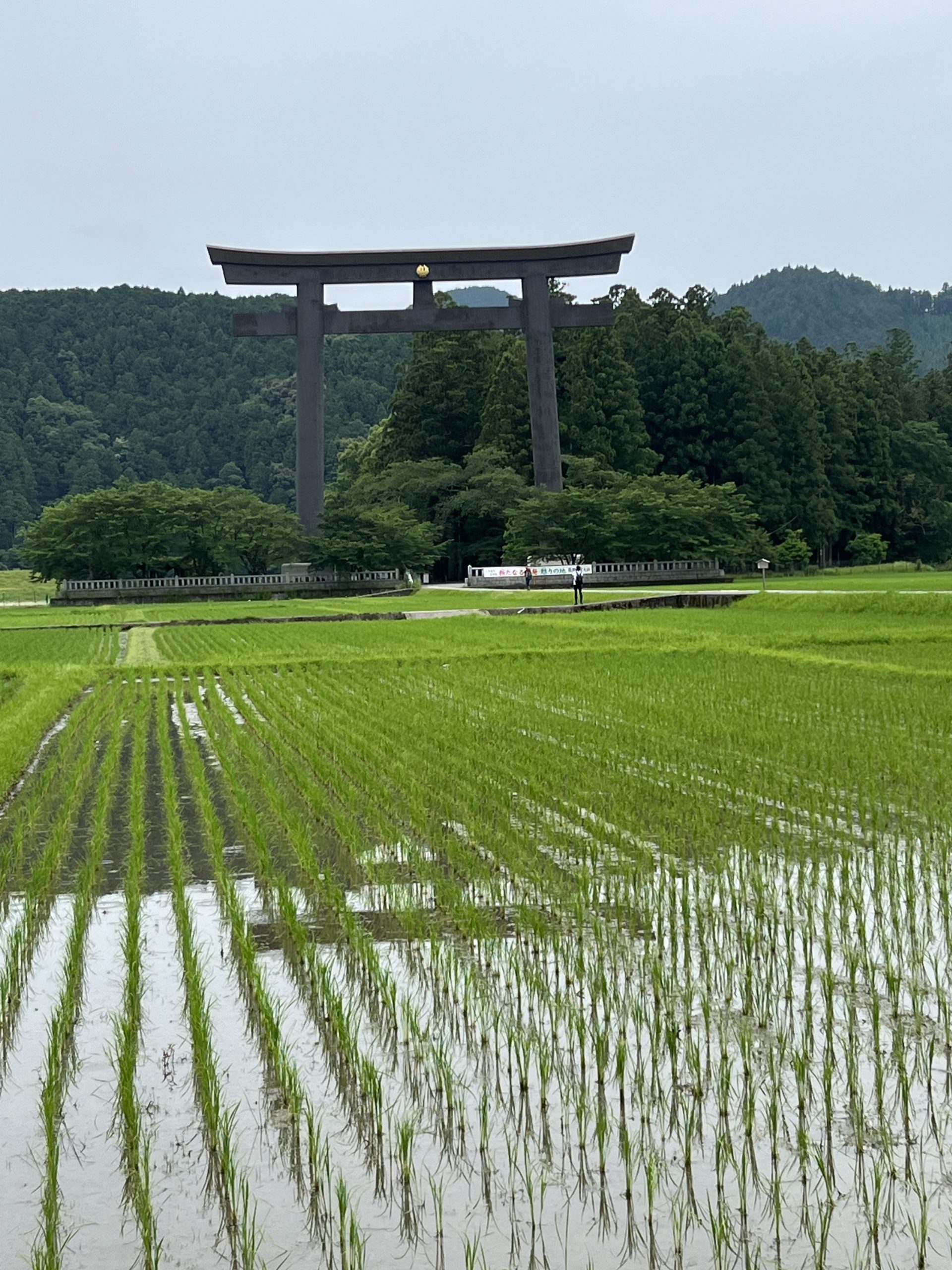  布とヌノコモノ eh